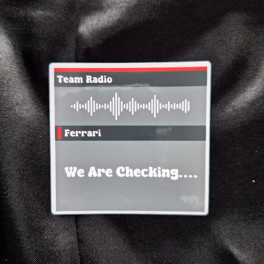 We are checking... Team Radio Sticker